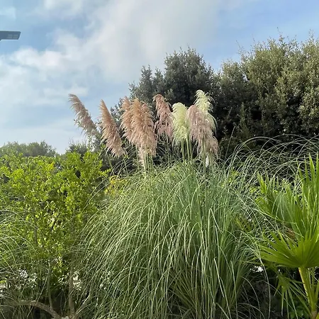 Romina Villa Selva Di Fasano